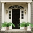 thumbnail image 1 of UV Resistant Lifelike Artificial Boston Fern, 28/38/60/88 Branches 2025 New Artificial Ferns, Ferns Artificial Plants Large for Planters, Office & Home Decor, Outdoor & Indoor, 1 of 9
