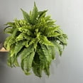 thumbnail image 1 of UV Resistant Lifelike Artificial Boston Fern,Faux Ferns For Outdoor Planter Large,2024 New Artificial Plants For Decor Outdoor,For Home, Office,Garden Indoor Outdoor, 1 of 6