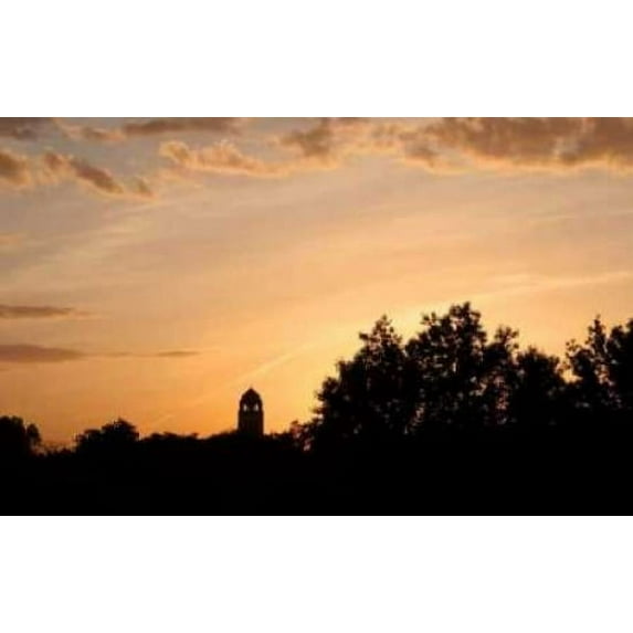 UV Sunset Poster Print by Tammy Putman (12 x 18)