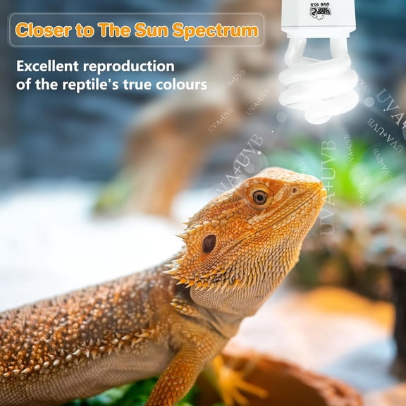 UVA UVB Reptile Light 10.0, Desert UVB 150 Compact Fluorescent Lamp, UVB Light for Reptiles 15W, UVA UVB Reptile Light Bulb, UVB Bulb for Reptiles Bearded Dragons Lizards Tortoises Snakes