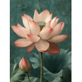 thumbnail image 1 of UXIEQU 2D Flat Japanese Ohara Koson Lotus Wall Art, Sage Green Botanical Pink Print, 15.75x11.81 Inches Living Room Home Decor, 1 of 8