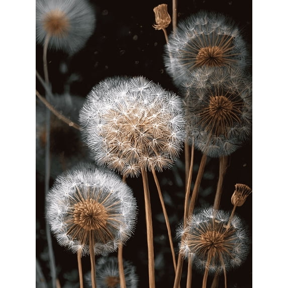 UXIEQU Dandelion Canvas Wall Art 15.75x11.81 Inches