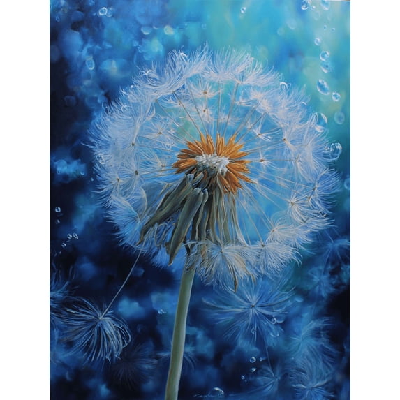 UXIEQU Dandelion Seeds Water Drops Canvas Wall Art 15.75x11.81 Inches