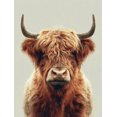 thumbnail image 1 of UXIEQU Highland Cow Canvas Wall Decor 15.75x11.81 Inches, 1 of 8