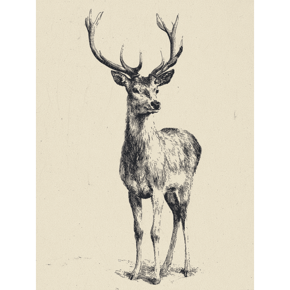 UXIEQU Majestic Stag Head Drawing Canvas Wall Art 15.75x11.81 Inches