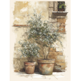 thumbnail image 1 of UXIEQU Mediterranean Potted Olive Trees Canvas Wall Art Print 15.75x11.81 Inches, 1 of 8