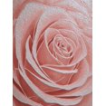 thumbnail image 1 of UXIEQU Textured Rose Painting Canvas Wall Art Print 15.75x11.81 Inches, 1 of 8