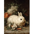 thumbnail image 1 of UXIEQU White Rabbit Flowers Canvas Wall Art 15.75x11.81 Inches, 1 of 8