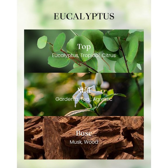 UYGDUY-Eucalyptus Soy Candle, 8.1oz 42-Hour No Toxin Slow Burning, Cool Spa Aromatheraphy, Summer Shower Wellness Gift