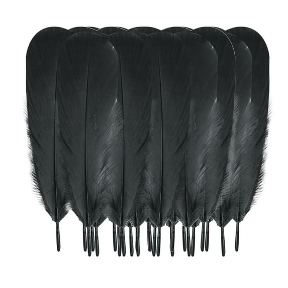 Uanit 50 Colorful Goose Feathers Diy Sunflower Wall Decoration Dream Catcher Wings Cat Stick for Wedding Clothing Hair Party Home Flower Pcs Plumage Craft Middle Floating Plume Arrangement