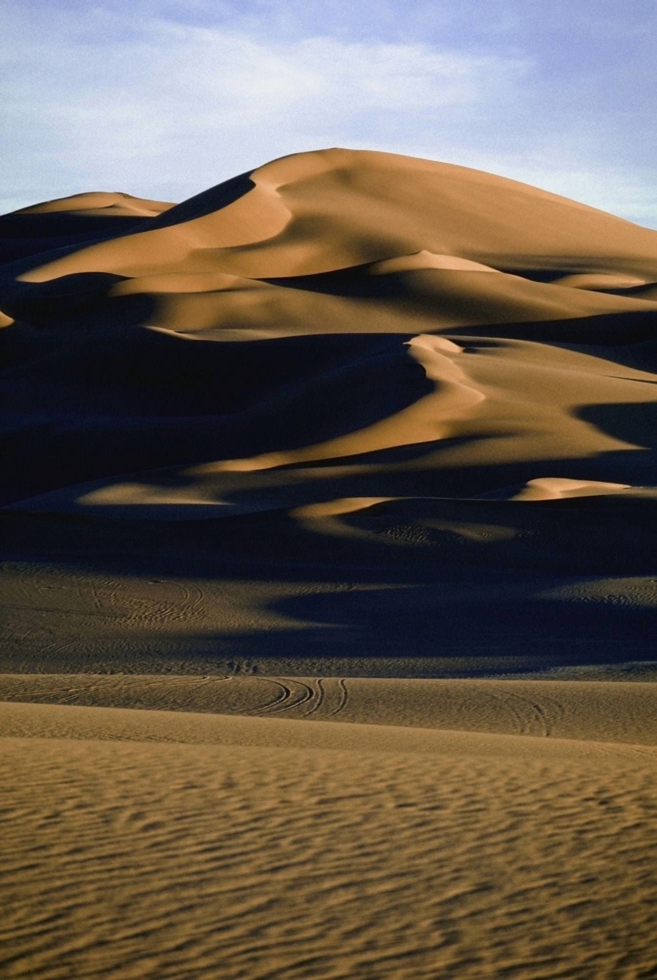 Ubari Sand Sea Desert Canvas Art - Doug McKinlay Design Pics (24 x 38)
