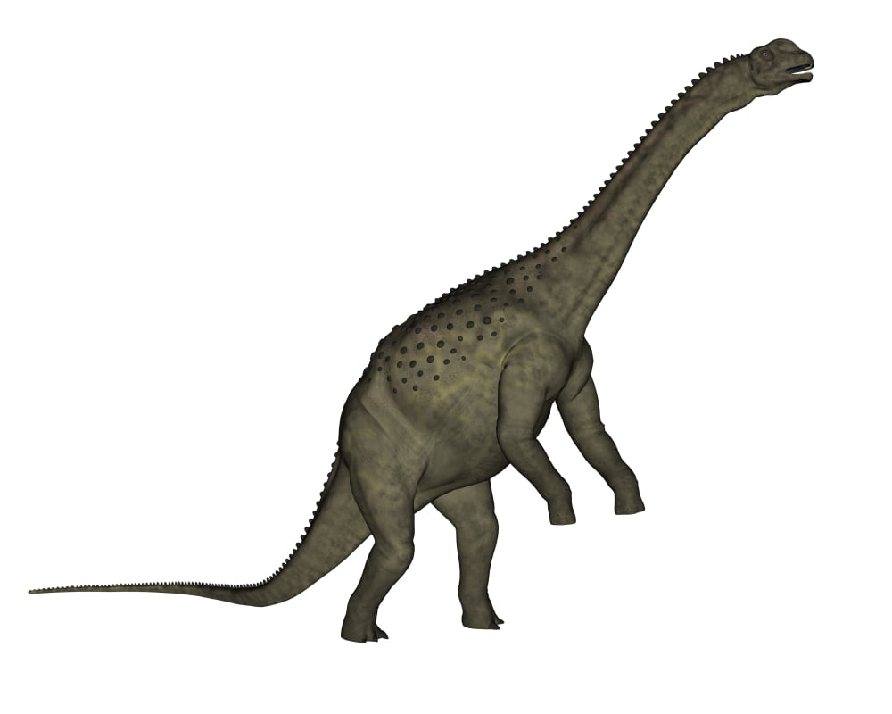 Uberabatitan dinosaur isolated on white background Canvas Art - Elena DuvernayStocktrek Images (16 x 13)