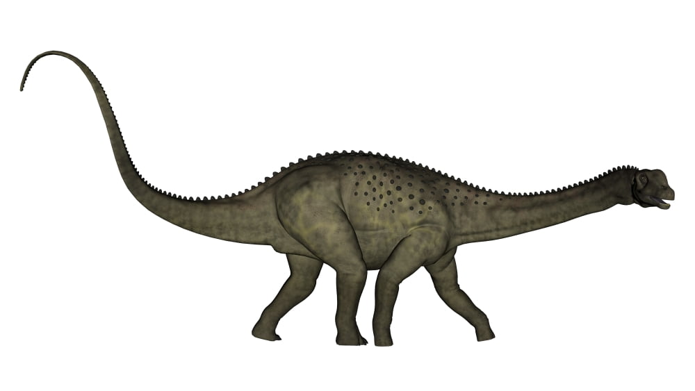 Uberabatitan dinosaur isolated on white background Canvas Art - Elena DuvernayStocktrek Images (19 x 11)