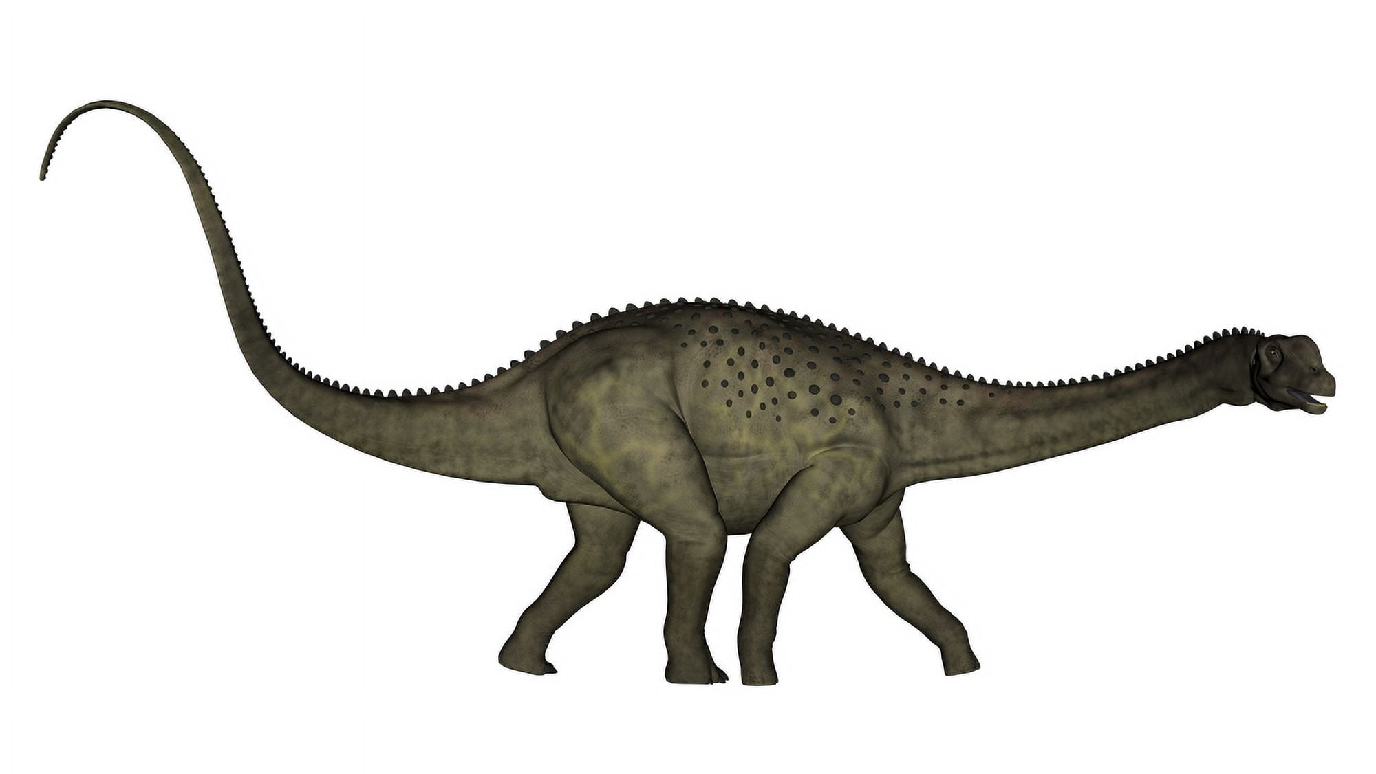 Uberabatitan dinosaur isolated on white background Canvas Art - Elena DuvernayStocktrek Images (37 x 21)