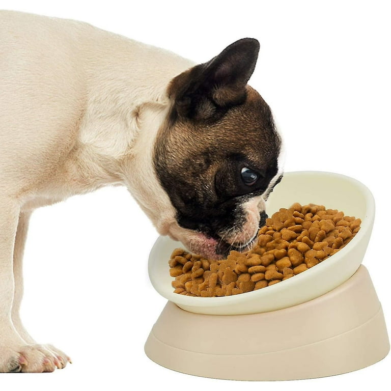 Frenchie dog bowl best sale