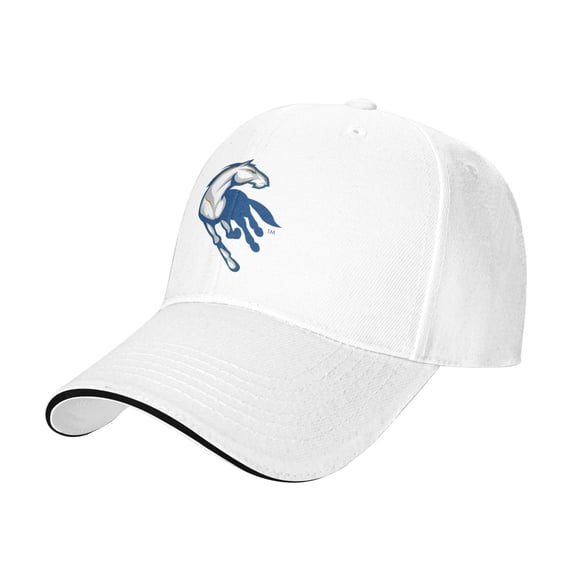 Uc Davis Aggies University Casual Sandwich Baseball Cap Adjustable For Men For Women