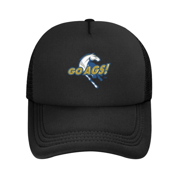 Uc Davis Aggies University Solid Color Lightweight Adult Mesh Baseball Cap