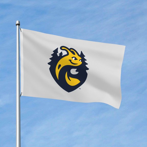 Uc Santa Cruz Banana 3x5 Ft Flag Double Sided Indoor Outdoor Double Stitched Polyester Flag With 2 Grommets-Both Side Can Be Read