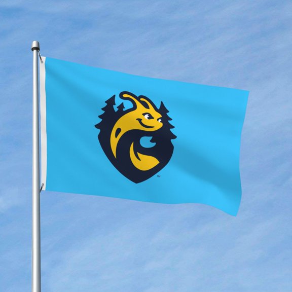 Uc Santa Cruz Banana 3x5 Ft Flag Double Sided Indoor Outdoor Double Stitched Polyester Flag With 2 Grommets-Both Side Can Be Read