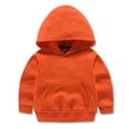 thumbnail image 1 of Uccdo 1-8T Toddler Boys Girls Cotton Solid Sweatshirt Hoodies, Kids Cute Hooded Tops Pullover Fall Winter Clothes, 1 of 4
