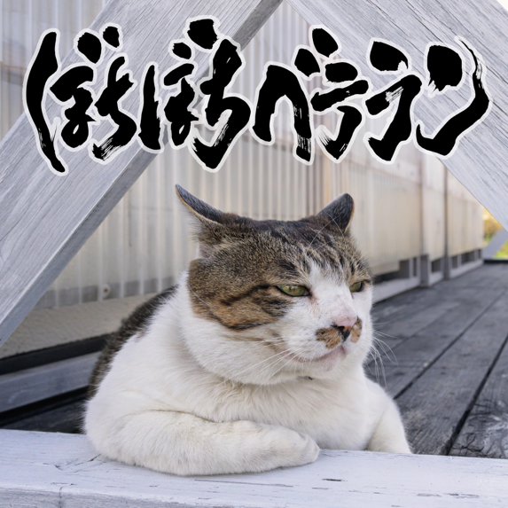 Uchikubigokumon-Doukoukai Bochibochi Veteran (CD)