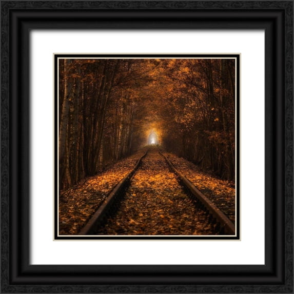 Uchorczak, Pawel 12x12 Black Ornate Wood Framed with Double Matting Museum Art Print Titled - Autumn Tunnel