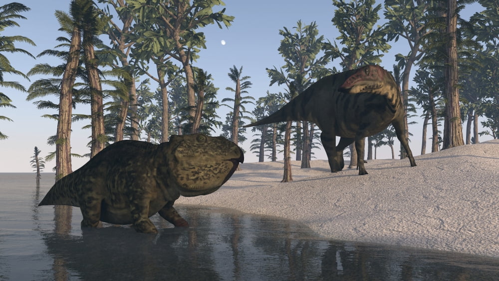 Udanoceratops and Shuangmiaosaurus among Tempskya trees Canvas Art - Kostyantyn IvanyshenStocktrek Images (19 x 11)