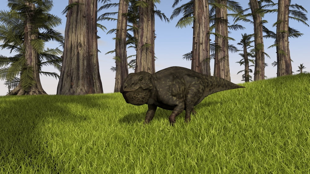 Udanoceratops walking across a grassy field Canvas Art - Kostyantyn IvanyshenStocktrek Images (38 x 22)