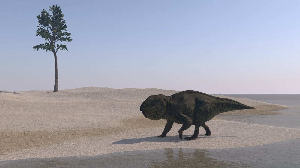 Udanoceratops walking along the waters edge Canvas Art - Kostyantyn IvanyshenStocktrek Images (19 x 11)