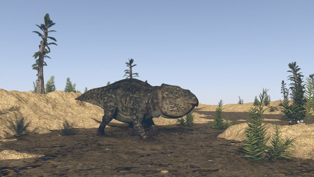 Udanoceratops walking in muddy water Canvas Art - Kostyantyn IvanyshenStocktrek Images (38 x 22)