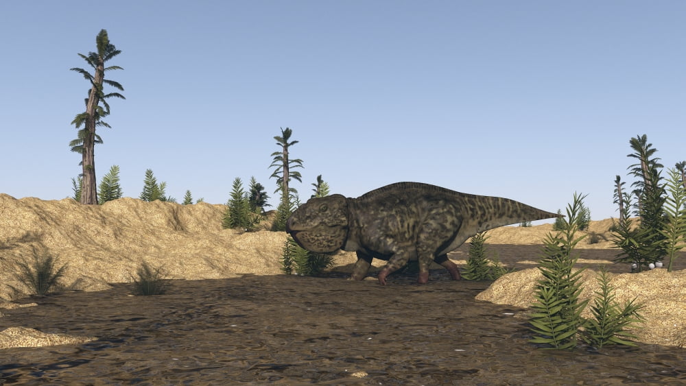 Udanoceratops walking in muddy water Canvas Art - Kostyantyn IvanyshenStocktrek Images (38 x 22)