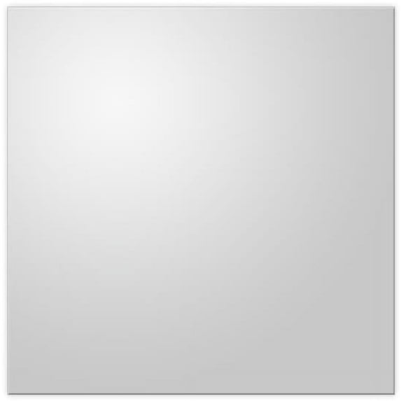 Udecor White 2x2 Pvc Vinyl DuraClean Smooth Ceiling Tile 10 Pack
