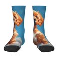 thumbnail image 1 of Uemuo Blue Sky Cloud Puppy Printed Kids Boys Socks Seamless Crew Socks Crazy Funny Athletic Sport Socks for Children, 1 of 6