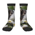 thumbnail image 1 of Uemuo Daisy Guinea Pig Printed Kids Boys Socks Seamless Crew Socks Crazy Funny Athletic Sport Socks for Children, 1 of 1
