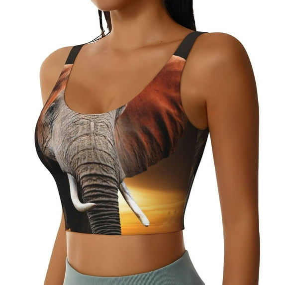 Uemuo Elephant Sunset in Kenya Pattern Women's Sports Bra - High Impact Support, Breathable, and Comfortable Athletic Bra for Running, Yoga, and Workouts