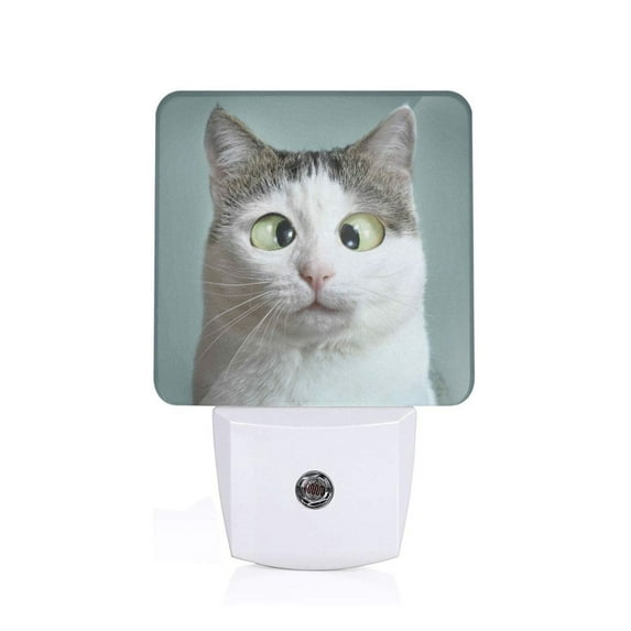 Uemuo Funny Cat Night Light, Night Lights Plug into Wall, Dusk to Dawn Sensor Warm White Led Night Light 0.5W-UK