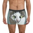 thumbnail image 1 of Uemuo Funny Cat Pattern Men's Boxer Briefs,Trunk Anti-Chafing,Comfortable, Durable, and Stylish Underwear-Large, 1 of 9