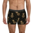 thumbnail image 1 of Uemuo Gold Glitter Pineapples Pattern Men's Boxer Briefs,Trunk Anti-Chafing,Comfortable, Durable, and Stylish Underwear-Large, 1 of 9