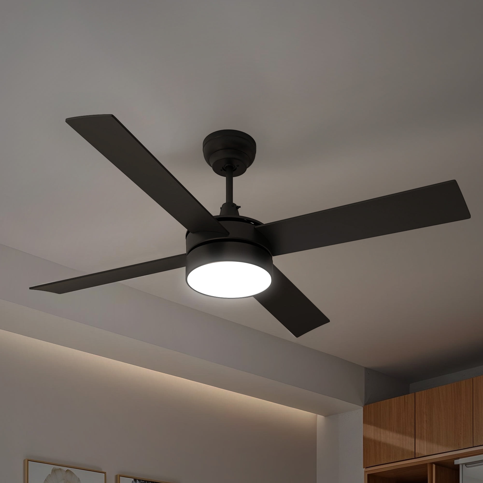Black Modern Ceiling Fan With Light