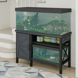 Aquarium Cabinet Color Ideas: Stunning Shades to Transform Your Space