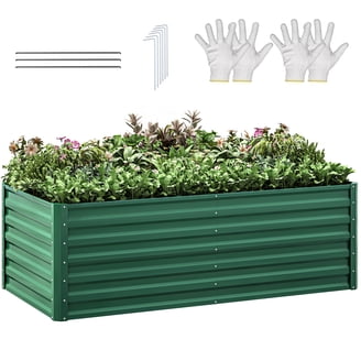 potted succulent plant Harvest Moon - Potted Live Succulent Garden