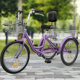 Trifecta three wheel bicycle 2025