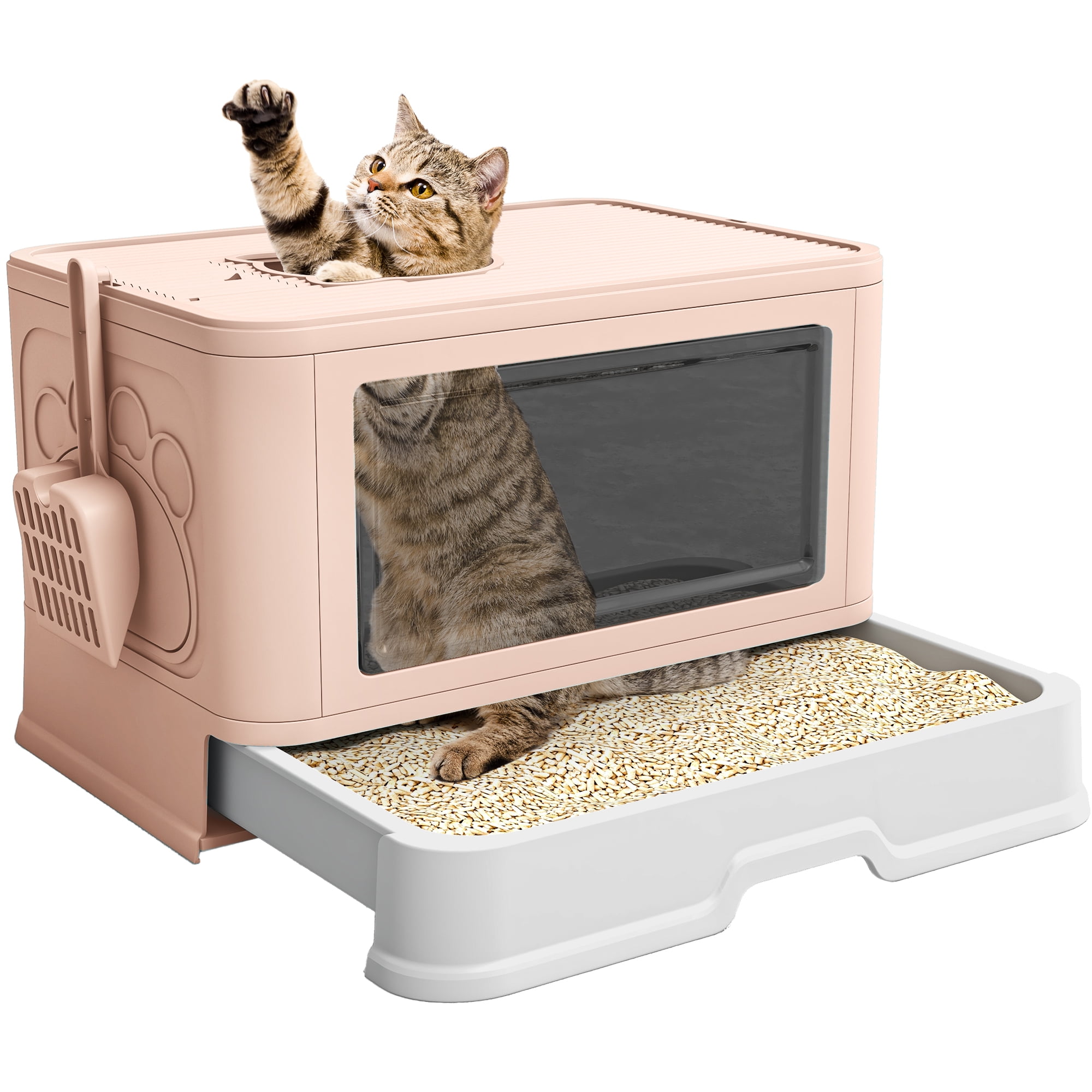 Box Enclosure Enclosed Litter Box Amazon Litter Box LCZLBRRD