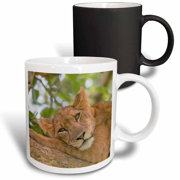 3drose, Uganda, Ishasha, Queen Elizabeth Np. Lioness Resting on a Branch., 11oz Magic Transforming Mug
