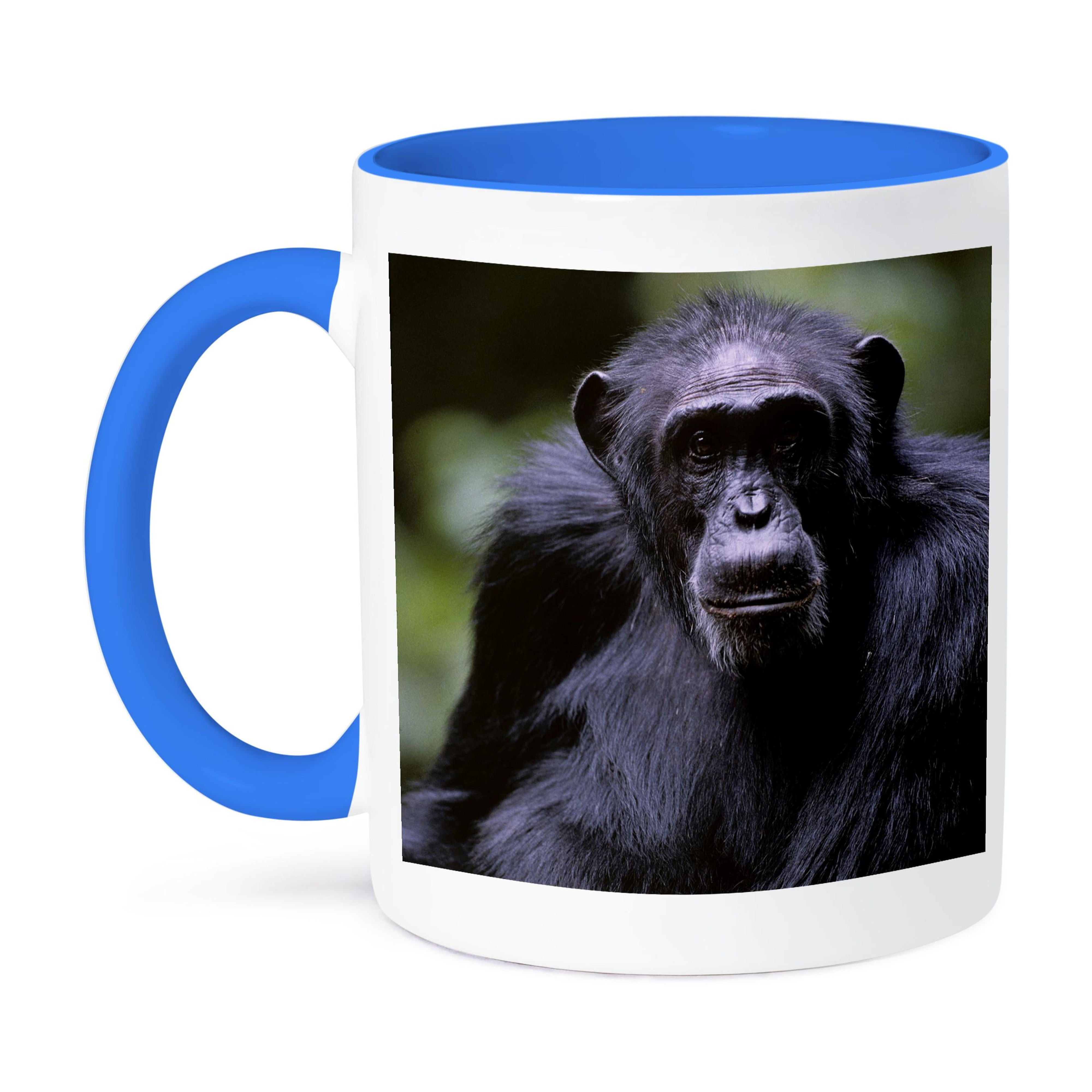 Uganda, Kibale Forest Reserve, Chimpanzee Primate-Af48 Pso0045 - Paul ...