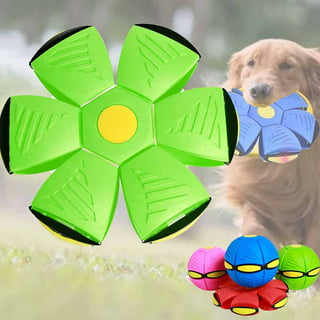 Flying UFO Saucer Interactive Ball Dog Toys – Les Canins Branchés