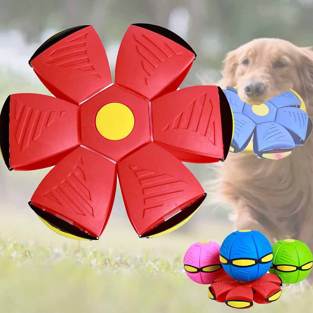 ✓Top 5 Best Toys for Blind Dogs in 2023 