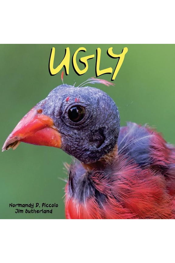 Ugly (Paperback)