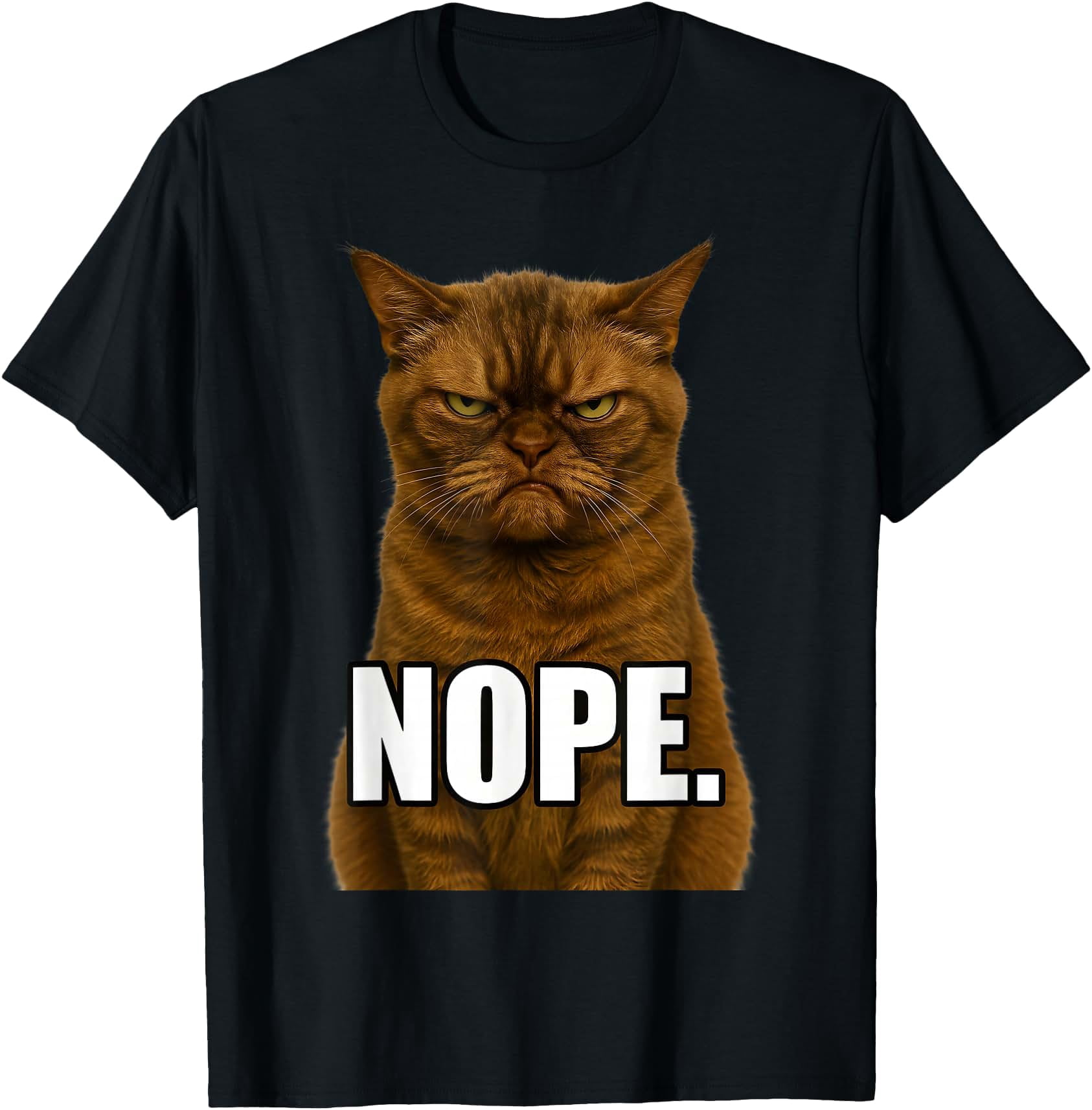 Grumpy Sit Cat Ugly Cat Meme Grumpy Face Mood Disgusted T-Shirt - Walmart.com