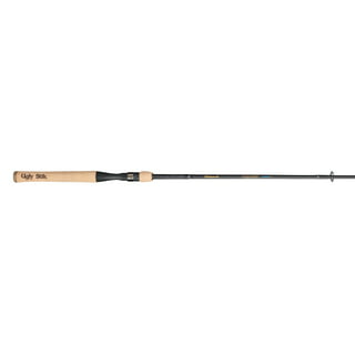 Spinning Rods in Fishing Rods
